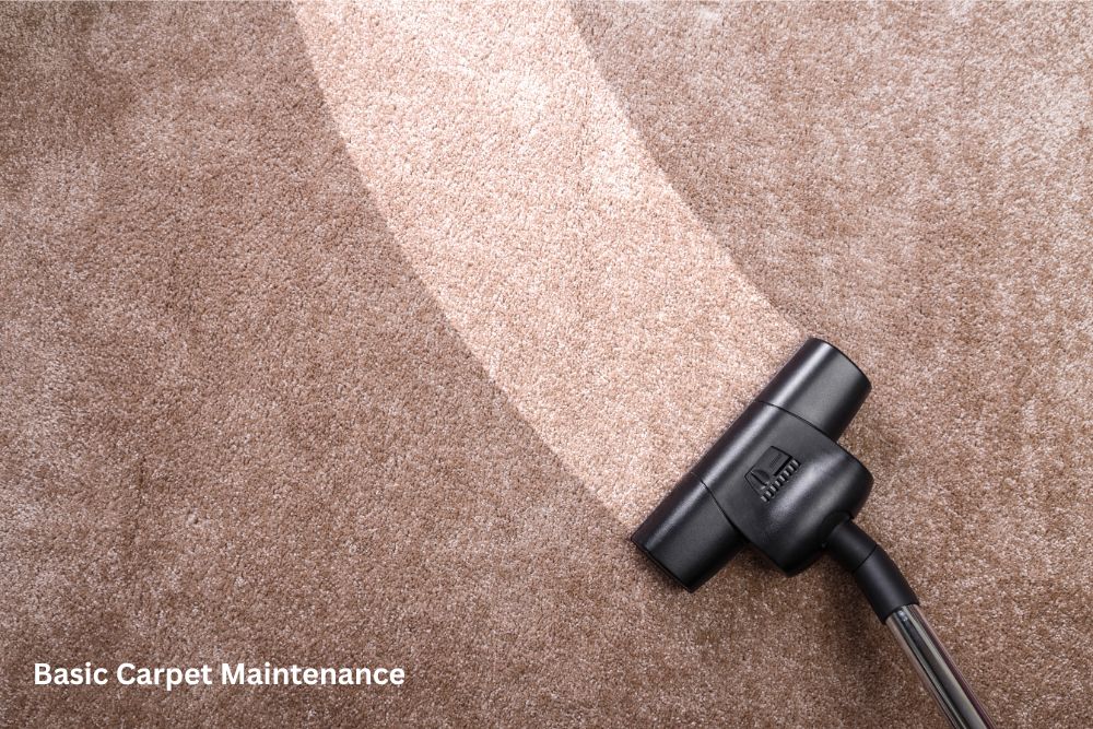 Carpet floor cleaning | Leaf Floor Covering