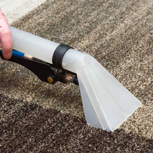Carpet Cleaning | Leaf Floor Covering